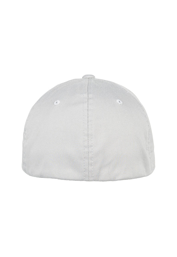 HS Curved Cap Silver
